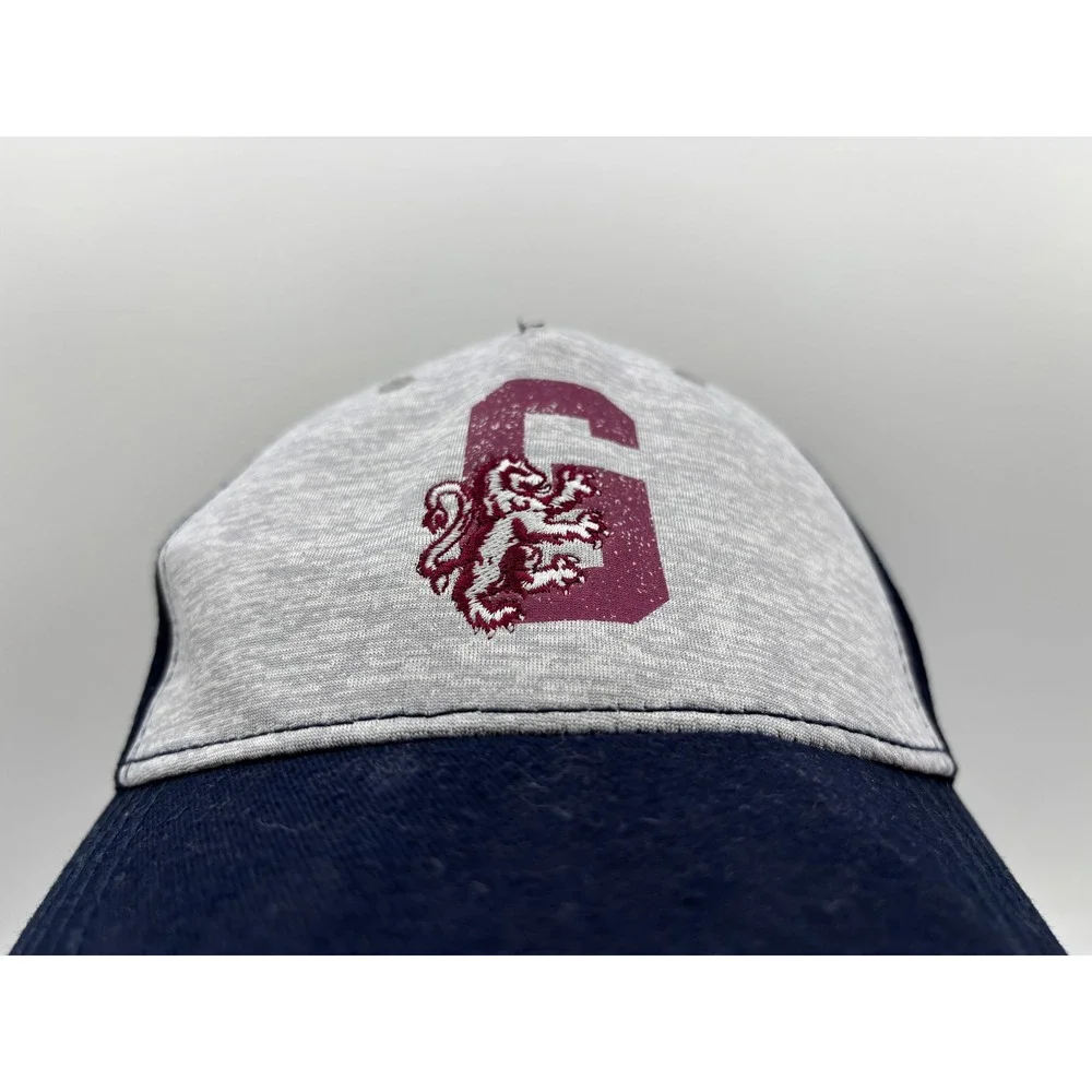 Harry Potter Gryffindor Hat Youth Strapback Adjustable Gray/Navy Cap OSFM
